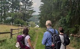 Holzhaus Chalet Nationalpark Eifel Hund willkommen